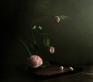  od Judy Tseng