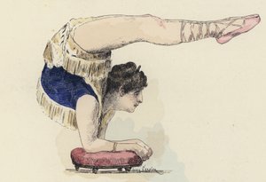 Gymnastka dělá stoj na loktech (barevné lito)