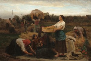 The Colza Harvesting Rapeseed, 1860. od Jules Breton
