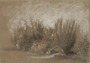 Genets et Ronces (Koště a ostružiníky) od Jules Dupré