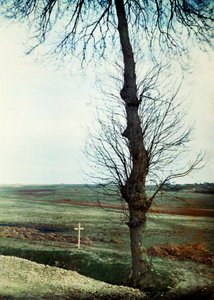 Hrob s několika mrtvými na okraji silnice během bitvy na Marně východně od Paříže, září 1914 (autochrom) od Jules Gervais Courtellemont