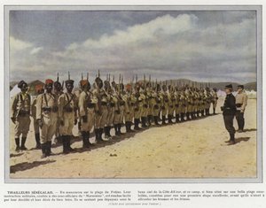 Senegalští tirailleurs