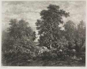 Rybník podle Théodora Rousseaua (1812-67)