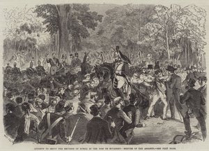 Pokus zastřelit ruského císaře v Bois de Boulogne, Zabavení vraha od Jules Pelcoq