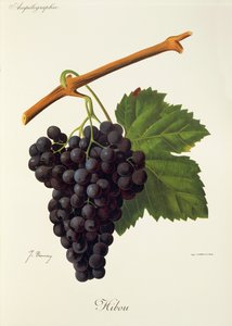 Hrozen sovy od J. Troncyho od Jules Troncy