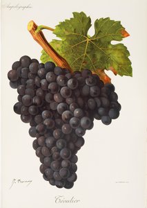 Hrozna Teoulier od J. Troncyho od Jules Troncy