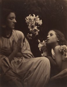 Studie, 1865-66. od Julia Margaret Cameron