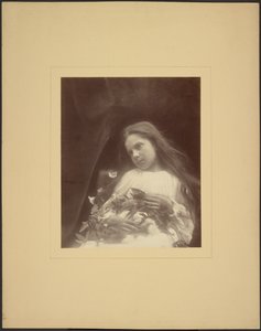 [Adeline Norman] od Julia Margaret Cameron