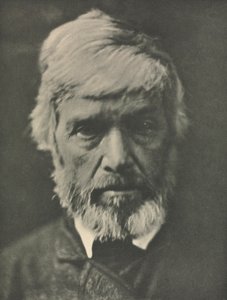 Práce s kamerou: Carlyle od Julia Margaret Cameron