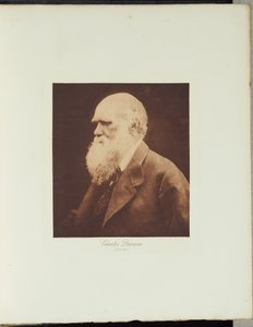  od Julia Margaret Cameron
