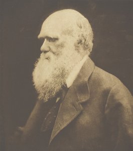 Charles Darwin, 1868, vytištěno cca. 1893. od Julia Margaret Cameron