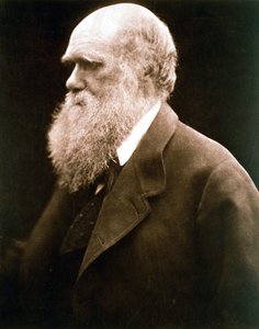 Charles Darwin, britský přírodovědec, c1870 od Julia Margaret Cameron