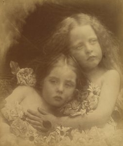 Anglické květy, 1873. od Julia Margaret Cameron