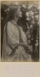 [Jaro] od Julia Margaret Cameron