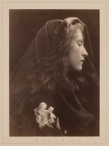  od Julia Margaret Cameron
