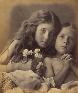 Červené a bílé růže od Julia Margaret Cameron
