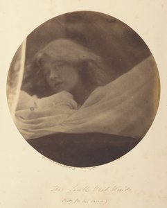 Jihozápadní vítr od Julia Margaret Cameron