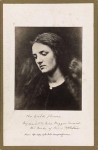 Divoká květina od Julia Margaret Cameron