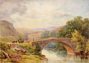 Lewisburn Bridge, North Tyne od Julia Swinburne