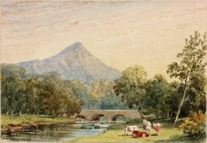 Sugarloaf Hill z Tynnahinch (wc na papíře (nalepeno na kartě)) od Julia Swinburne