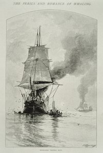 „Whalers Trying Out“ (rozřezat velrybu a vytáhnout její maso na palubu), pro „The Perils and Romance of Whaling“ v Century Magazine, srpen 1890 (rytina)