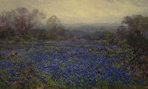 Bez názvu - Field of Bluebonnets (olej na plátně)