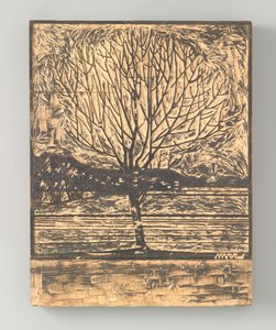 Kale boom od Julie de Graag (signed by artist)