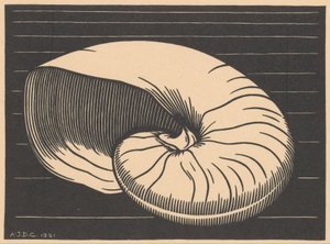 Shell od Julie de Graag (signed by artist)