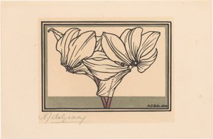 Cyclamen od Julie de Graag