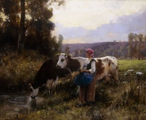 Krávy u napajedla