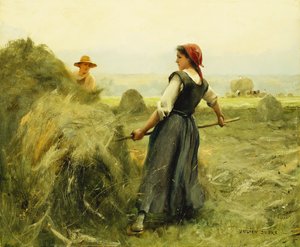 Senoseč; senoseč,