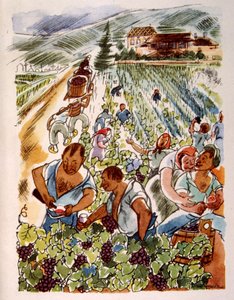 Francouzská vinice. 1944. Ilustrace Julien Pavil