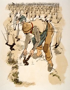 Humorné víno ilustrace 1946.Ilustration by Julien Pavil od Julien Pavil