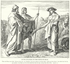 Ruth Gleaning v poli Boaz (rytina) od Julius (after) Schnorr von Carolsfeld