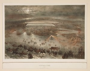 Central Park (zima)