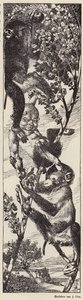Opice sbírající ovoce na stromě (litografie) od Julius Diez