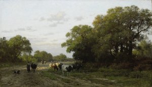 Krajina v Drenthe