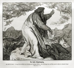 Pátý den stvoření, Genesis od Julius Schnorr von Carolsfeld