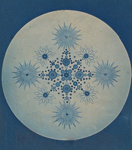 [Frustules of Diatoms], ca. 1870. od Julius Wiesner.