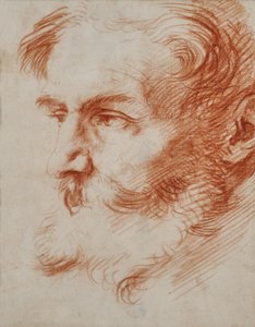 Hlava vousatého muže od Jusepe de Ribera