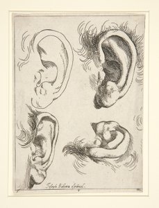 Studie čtyř uší od Jusepe de Ribera