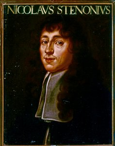 Portrét Nicolase Stena (olej)