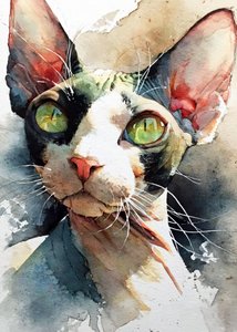 Okouzlující sphynx se zelenýma očima od Justyna Jaszke