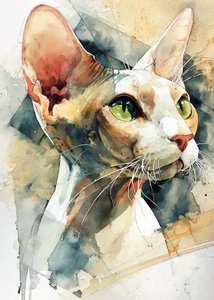 Sphynx s zelenýma očima