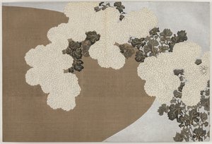 Květiny sta světů (Momoyogusa): Chryzantémy (Momoyogusa) od Kamisaka Sekka