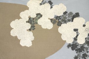 Momoyo-Gusa, z Momoyo-gusa