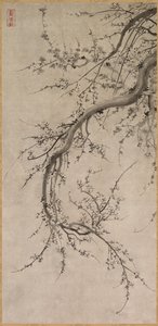 Prunus, 17. století. od Kano Ein