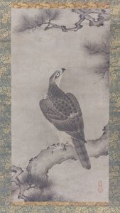 Hawk on a Pine Shoo zu, 16. století. od Kano Yukinobu