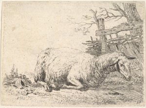 Ovce ležící se složenýma nohama pod tělem vedle dřevěného plotu, ona..., ca. 1655.