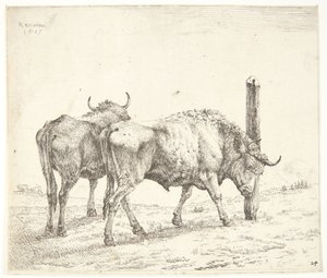 Dva voli od Karel Du Jardin